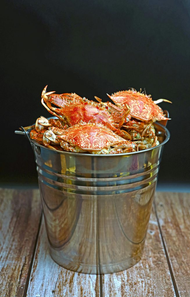 Close-up of freshly steamed crabs in a metallic bucket on rustic wood surface. Gros plan de crabes fraîchement cuits à la vapeur dans un seau métallique sur une surface de bois rustique.
