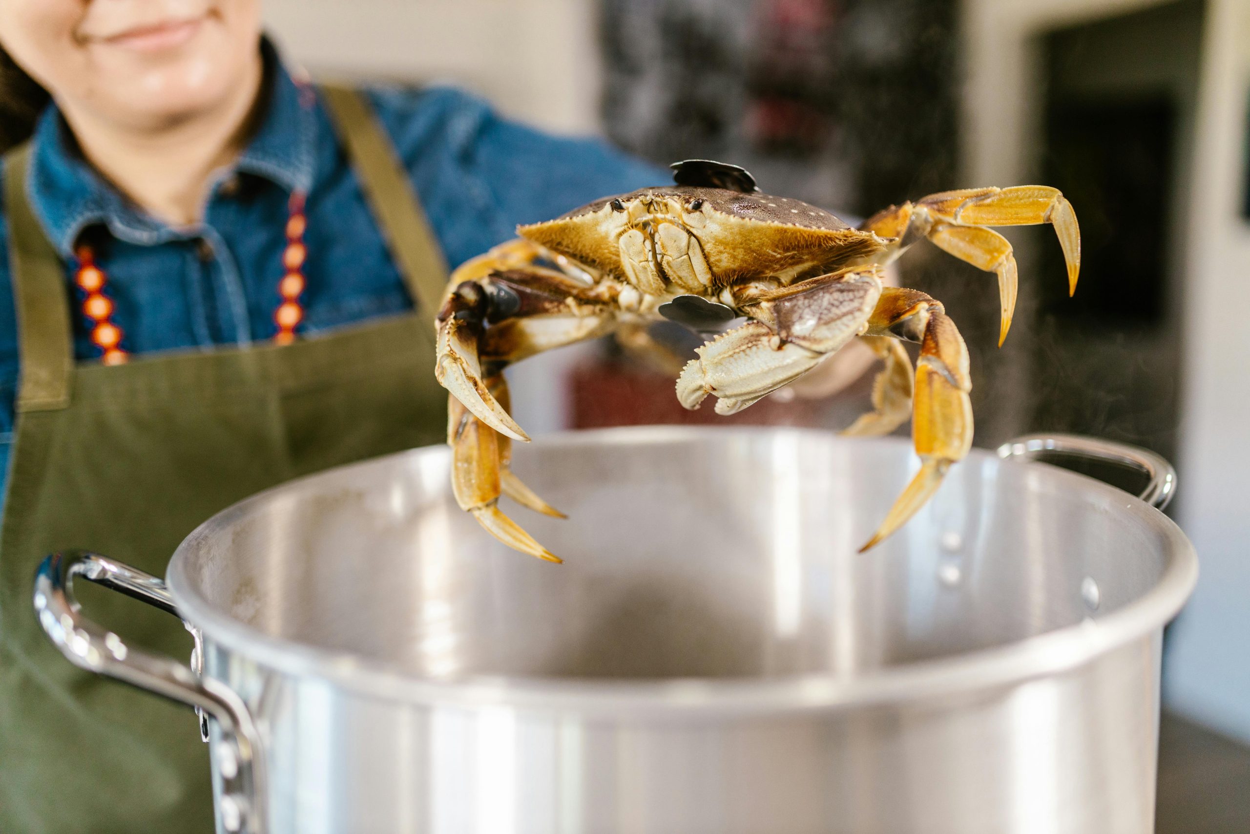 Tourteau cuisson parfaite durée